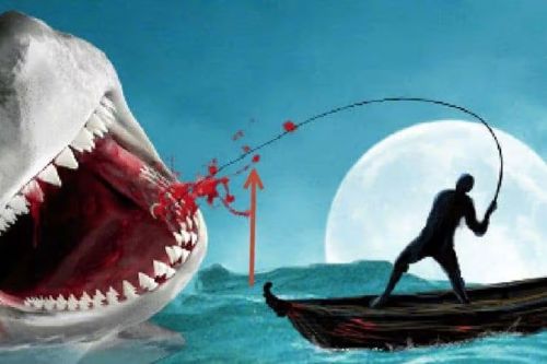 آموزش طراحی صحنه شکار کوسه در فتوشاپ